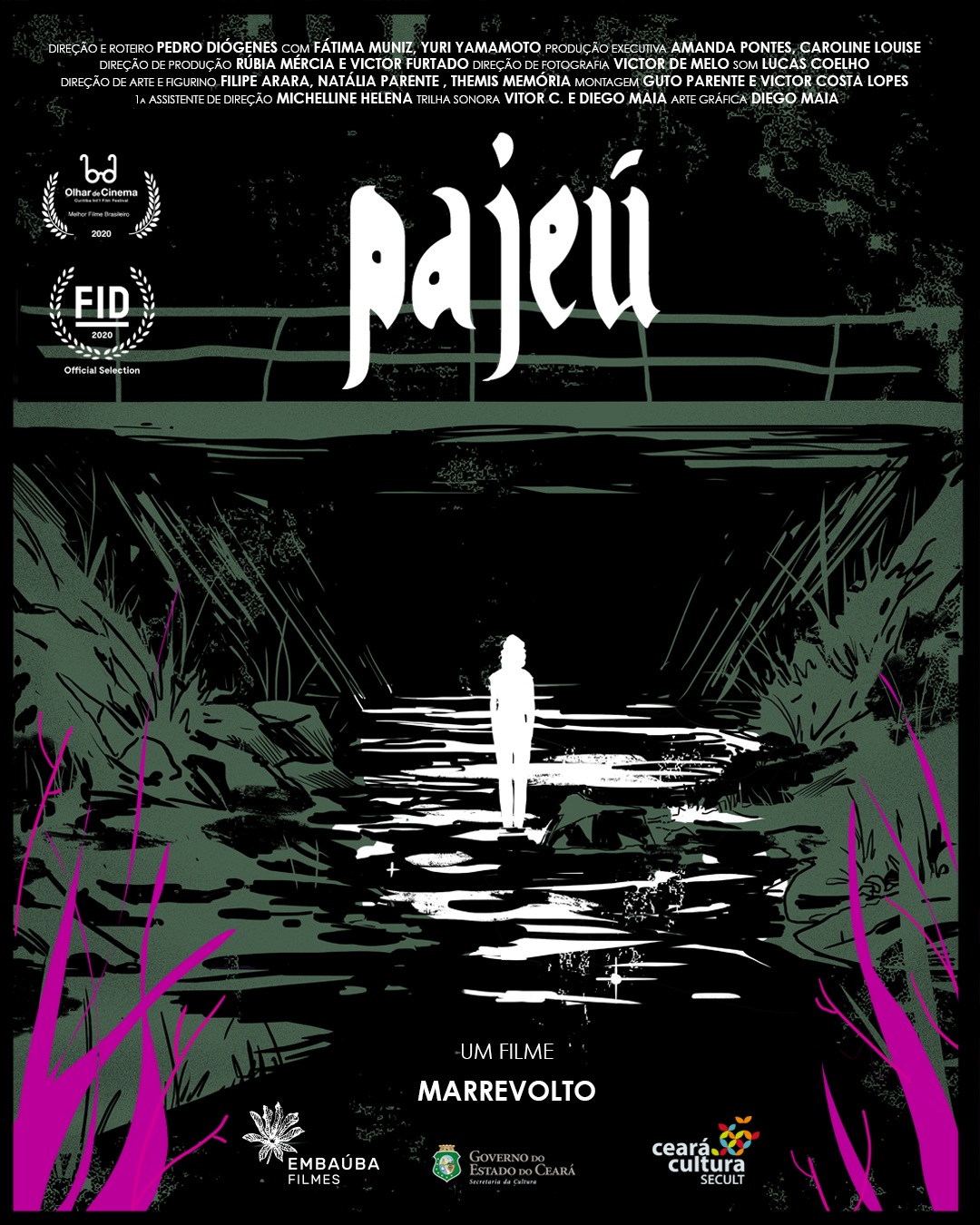 Pajeú